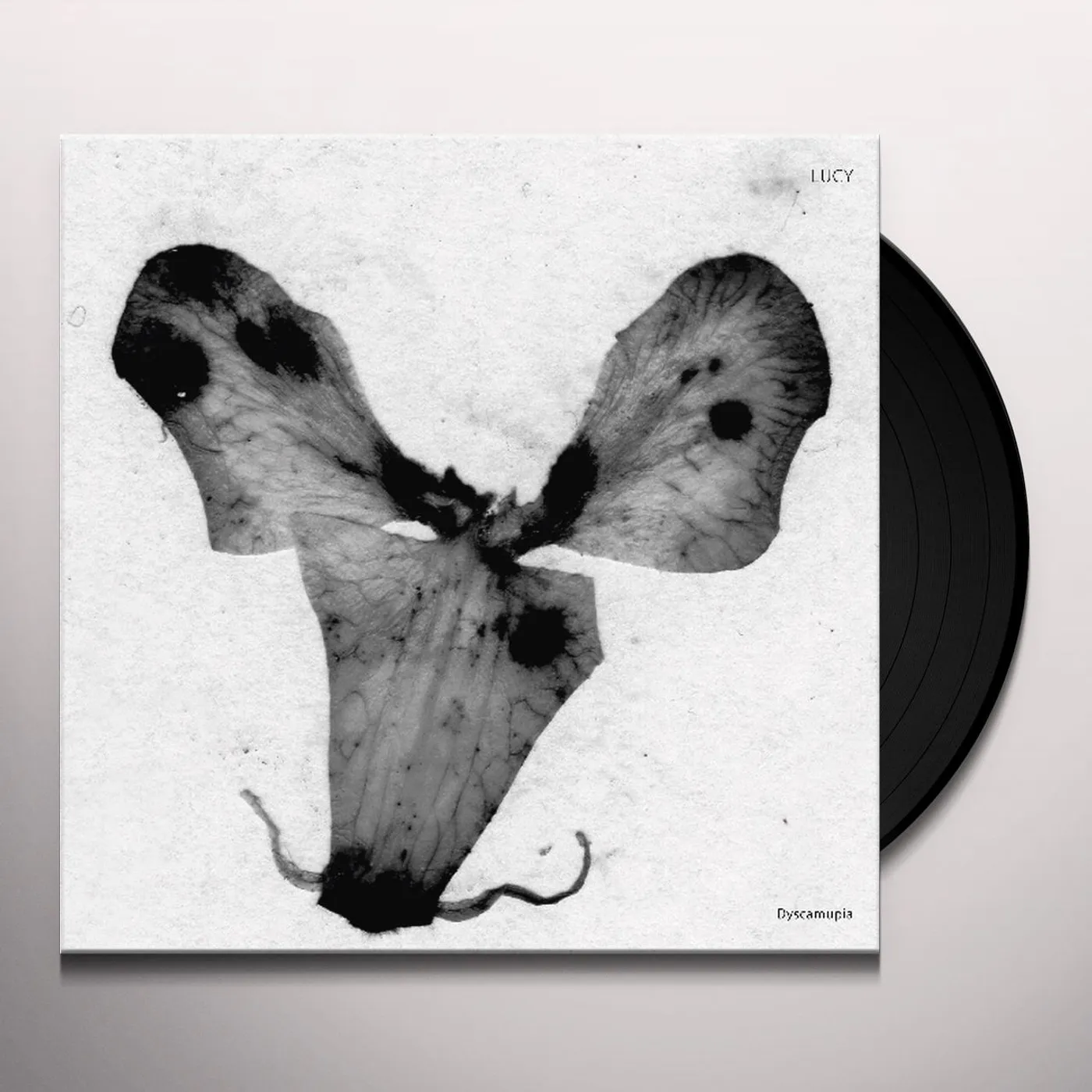 Lucy Dyscamupia Vinyl Record