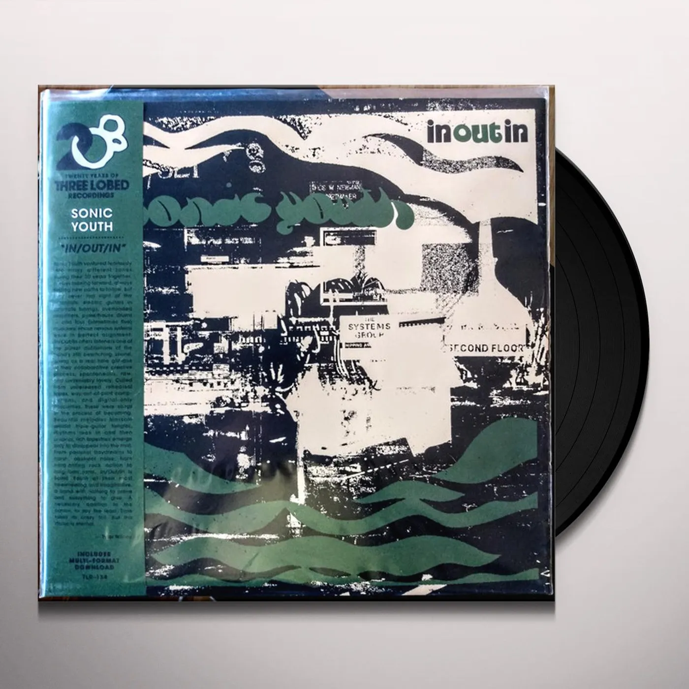 Sonic Youth In/Out/In Vinyl Record