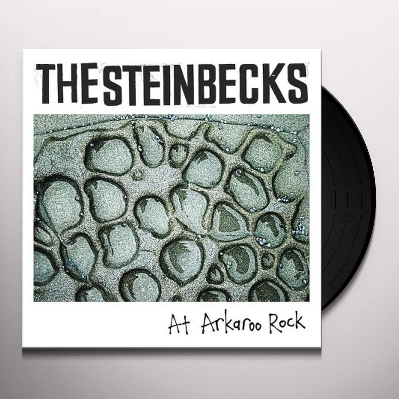 The Steinbecks AT ARKAROO ROCK Vinyl Record