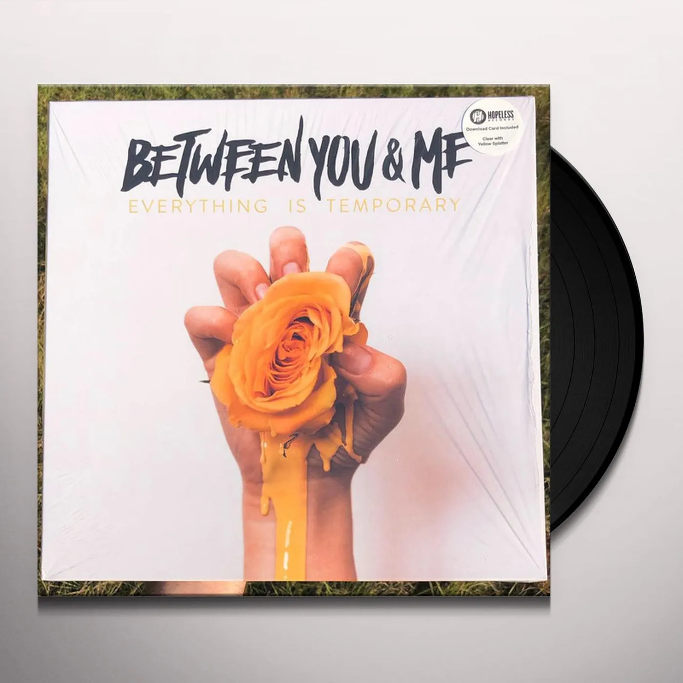 Between You & Me Everything Is Temporary Vinyl Record