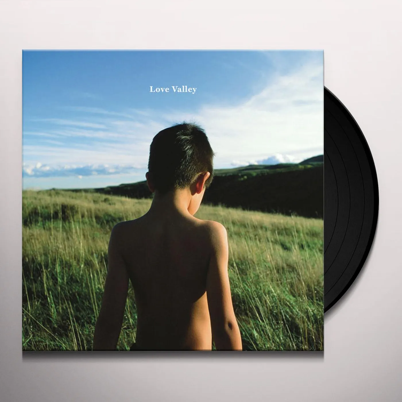 Michael Bernard Fitzgerald Love Valley Vinyl Record