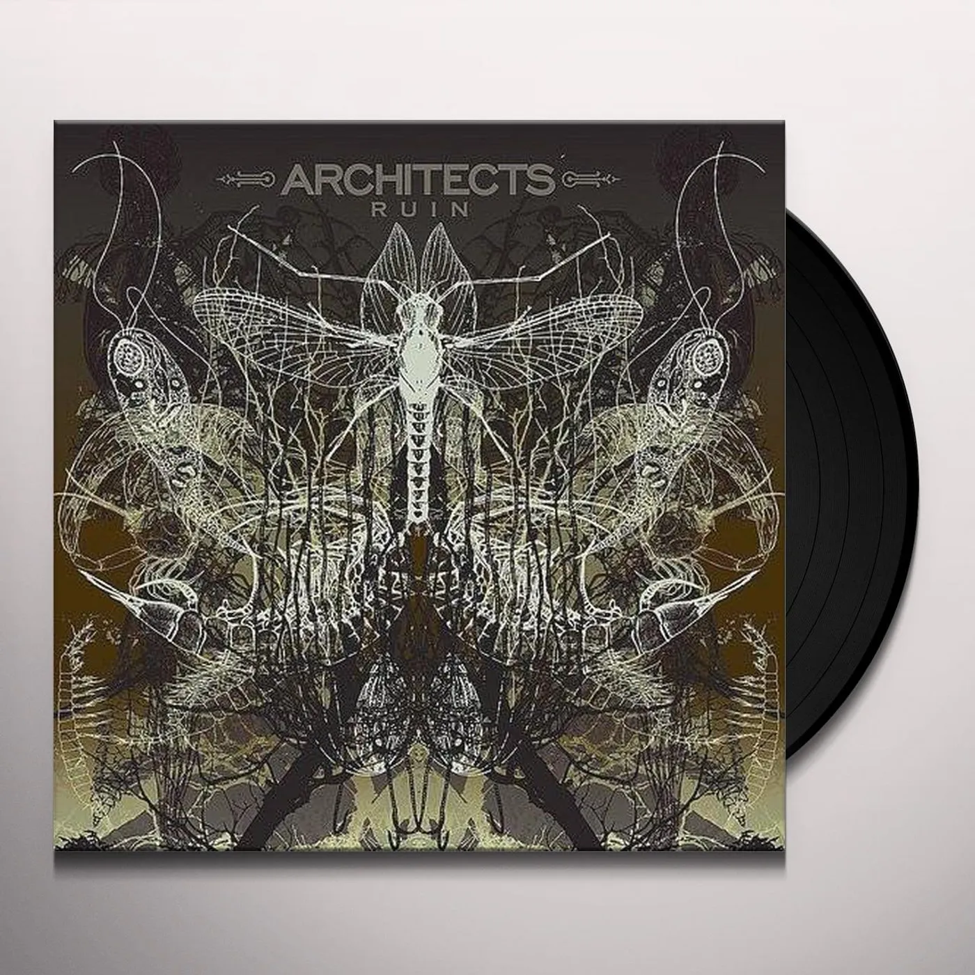 Architects Ruin Vinyl Record