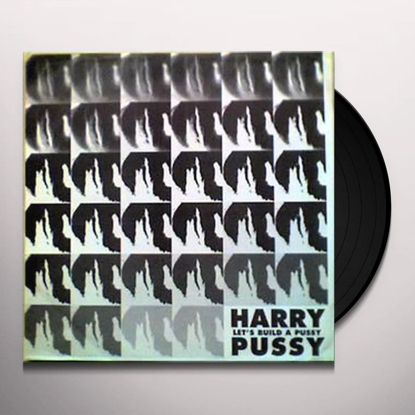 Harry Pussy LET'S BUILD A PUSSY (2LP) Vinyl Record