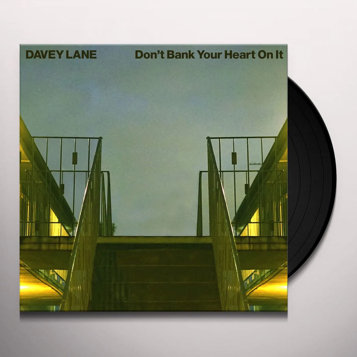 Davey Lane Don't Bank Your Heart On It Vinyl Record