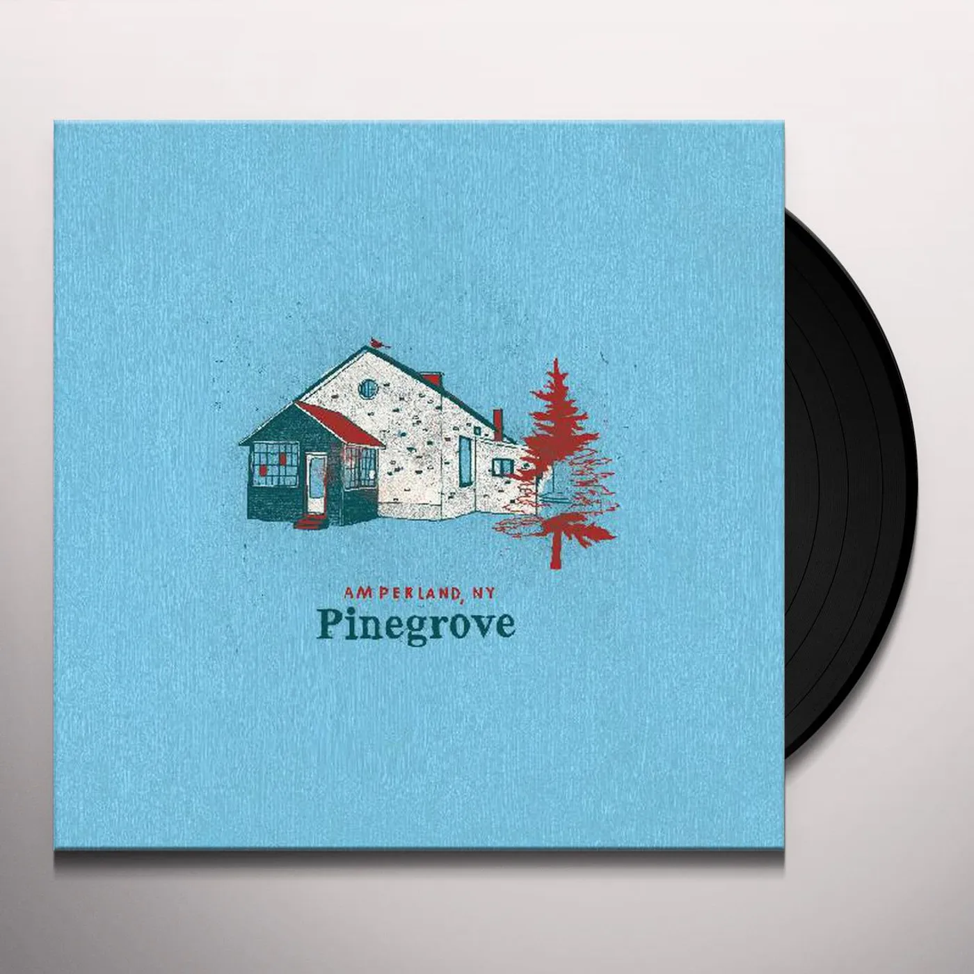 Pinegrove AMPERLAND NY Vinyl Record
