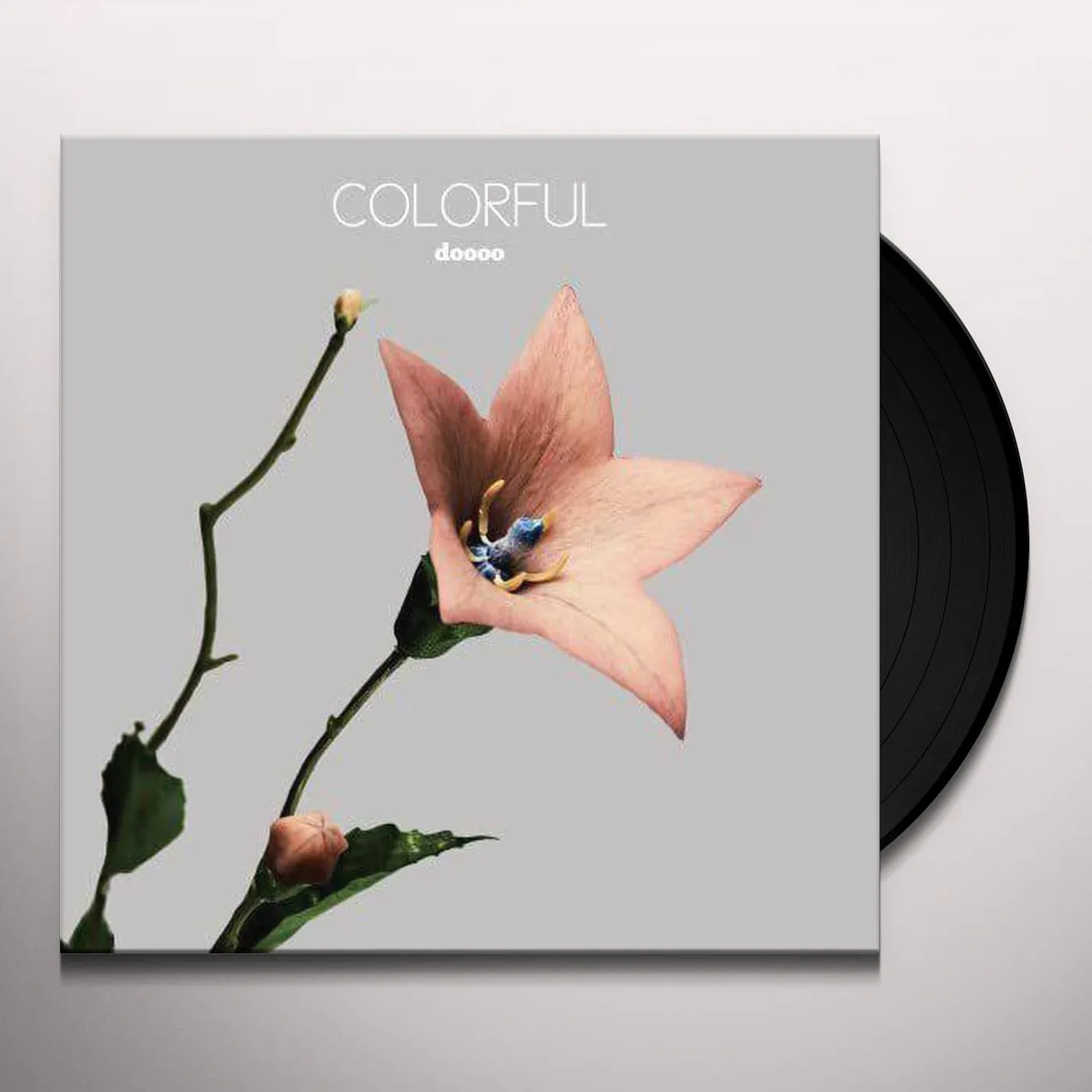 doooo Colorful Vinyl Record