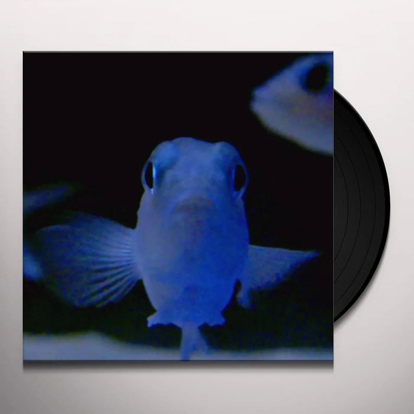 Powell on the feet of a wind Vinyl Record