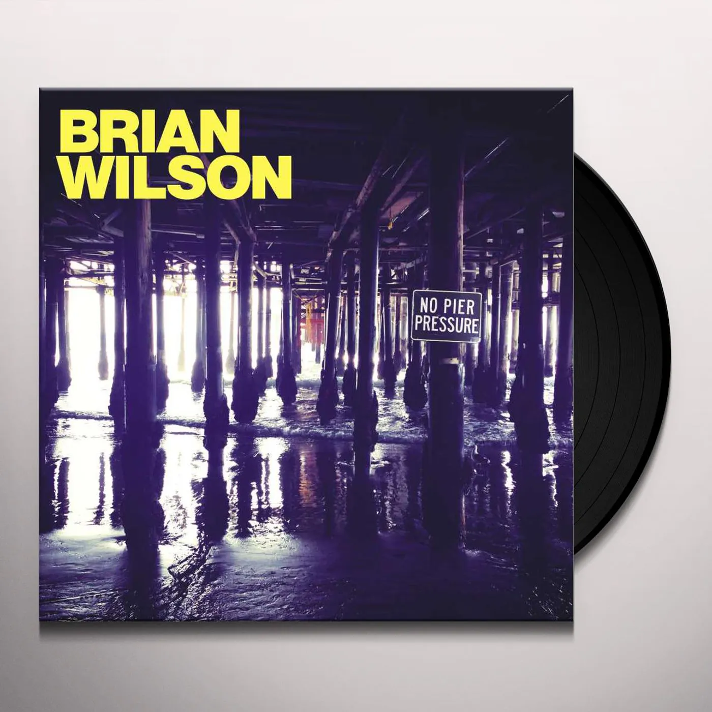 Brian Wilson No Pier Pressure Vinyl Record