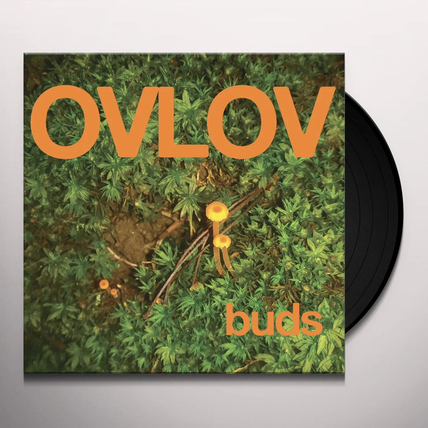 Ovlov Buds Vinyl Record