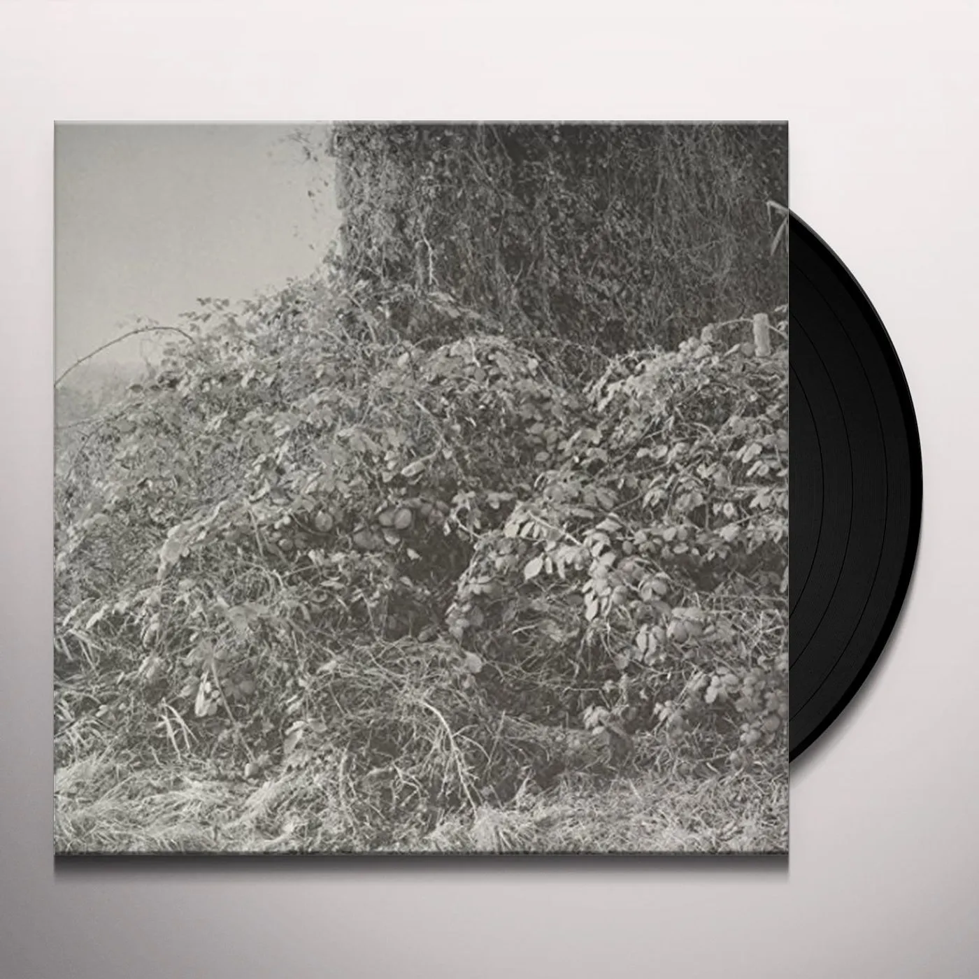 Madmotormiquel KLINKEN EP Vinyl Record