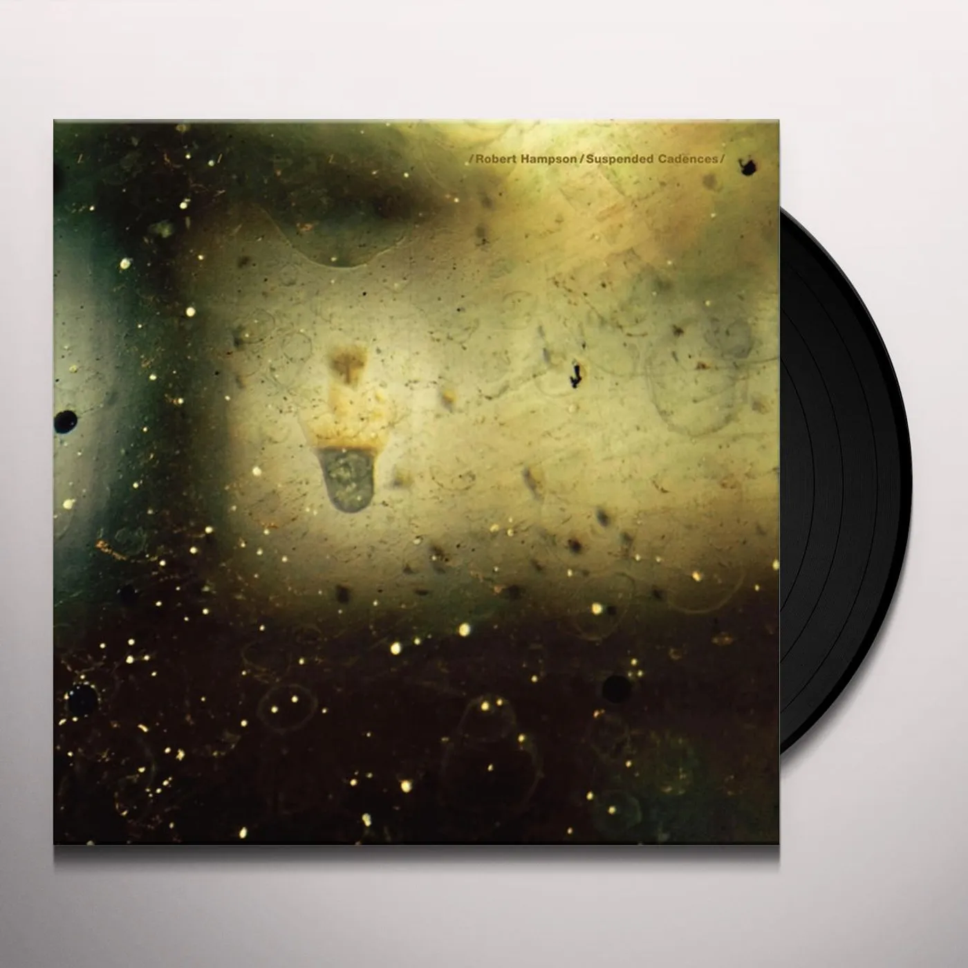 Robert Hampson Suspended Cadences Vinyl Record