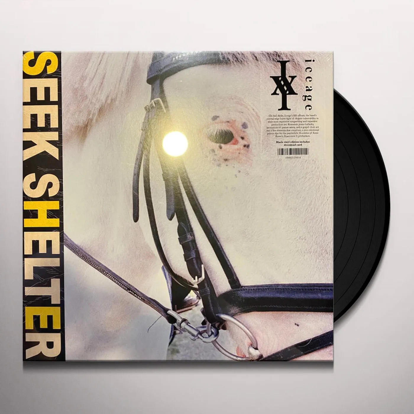Iceage SEEK SHELTER (DL CODE) Vinyl Record