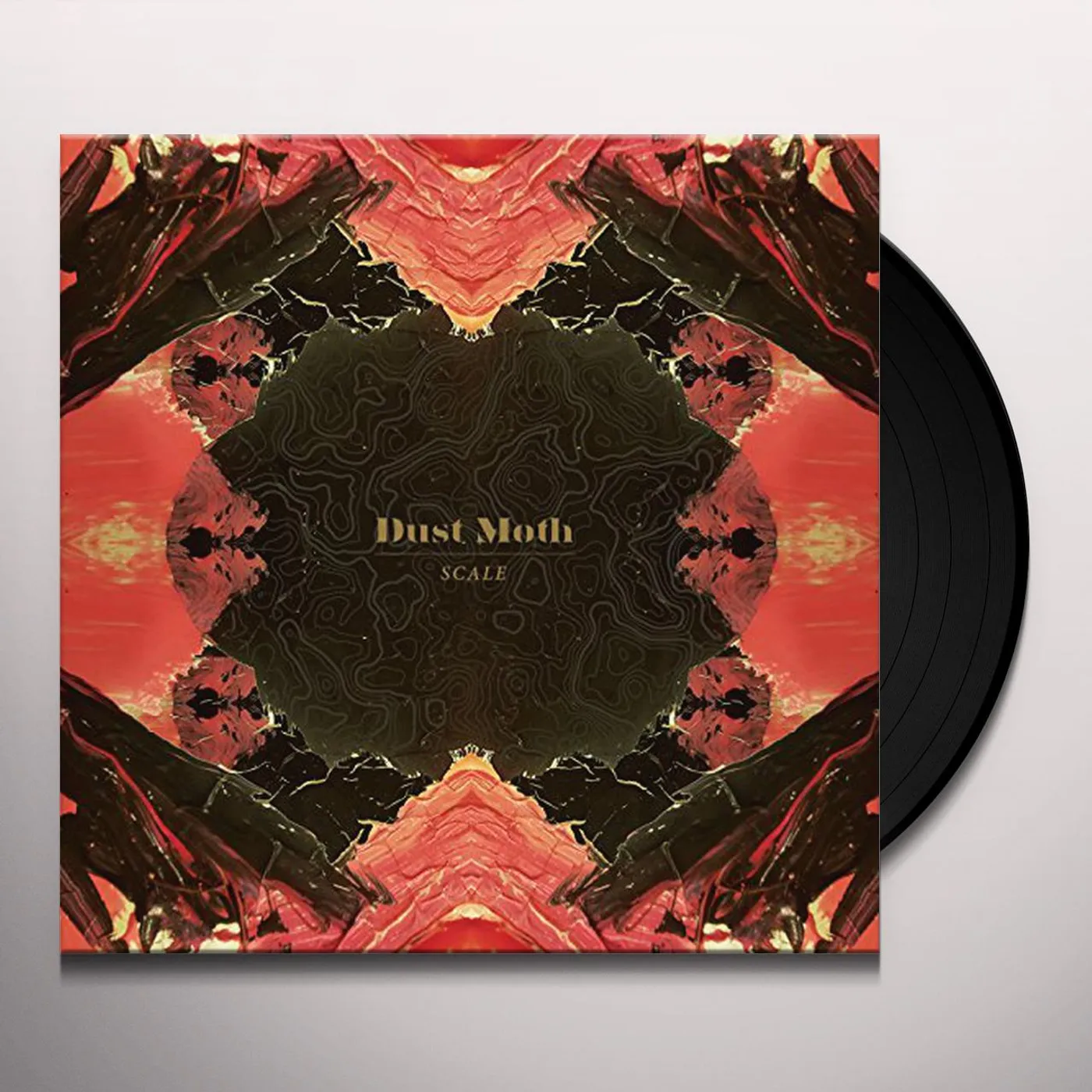 Dust Moth Scale Vinyl Record