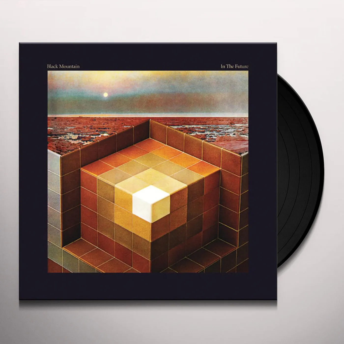 Black Mountain In The Future Vinyl Record