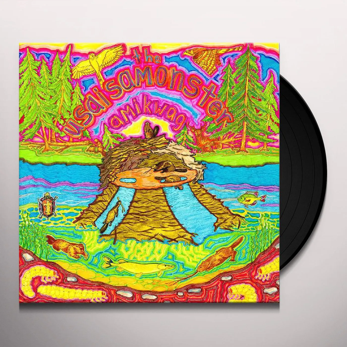 The Usaisamonster Amikwag Vinyl Record