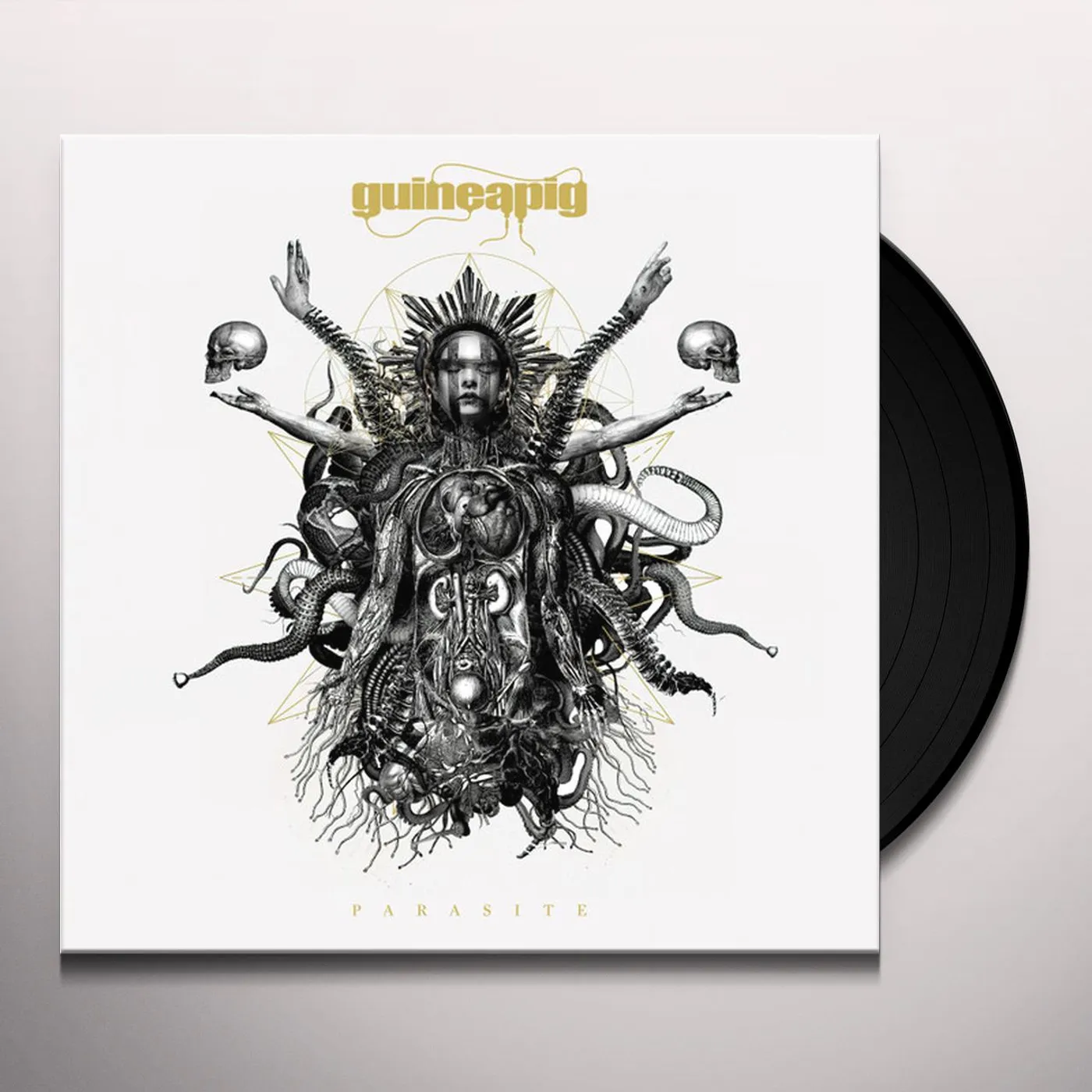 Guineapig Parasite Vinyl Record