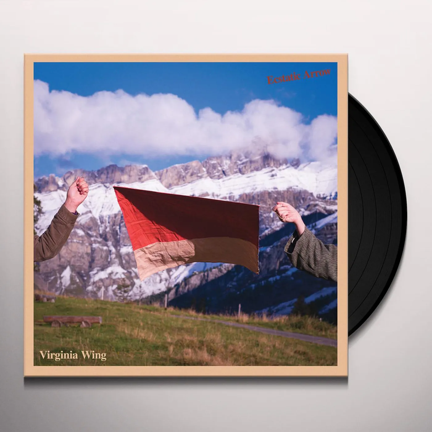 Virginia Wing Ecstatic Arrow Vinyl Record