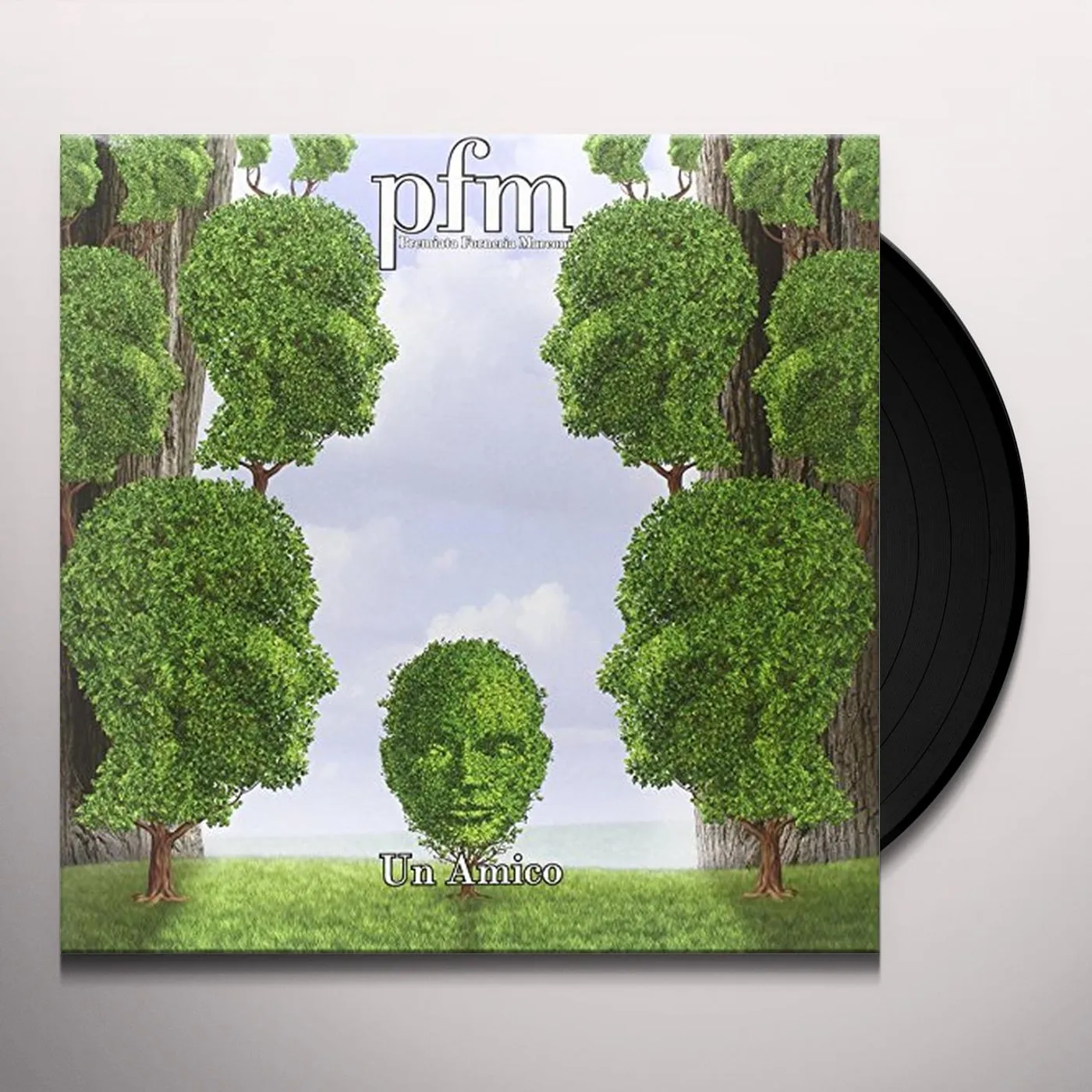 PFM Un Amico Vinyl Record