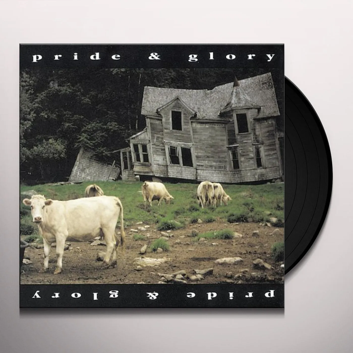 Pride & Glory Vinyl Record