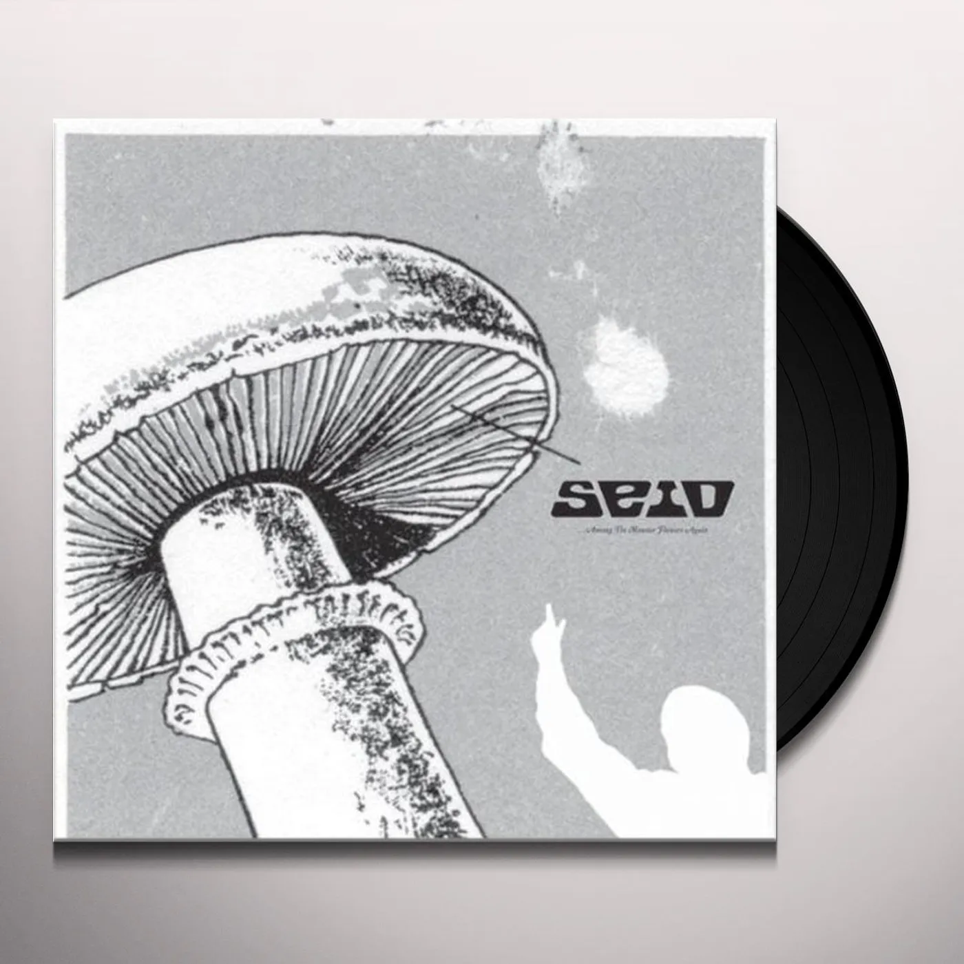 Seid AMONG THE MONSTER FLOW Vinyl Record