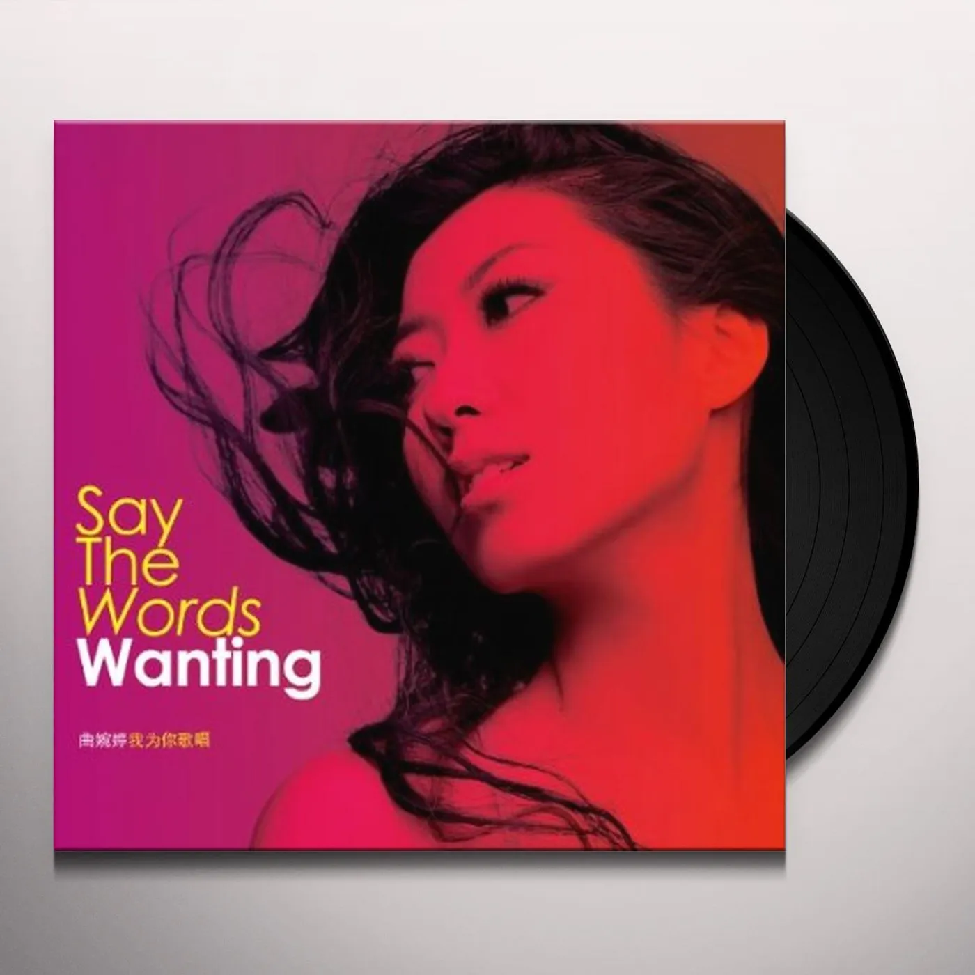 Wanting Say the Words Vinyl Record