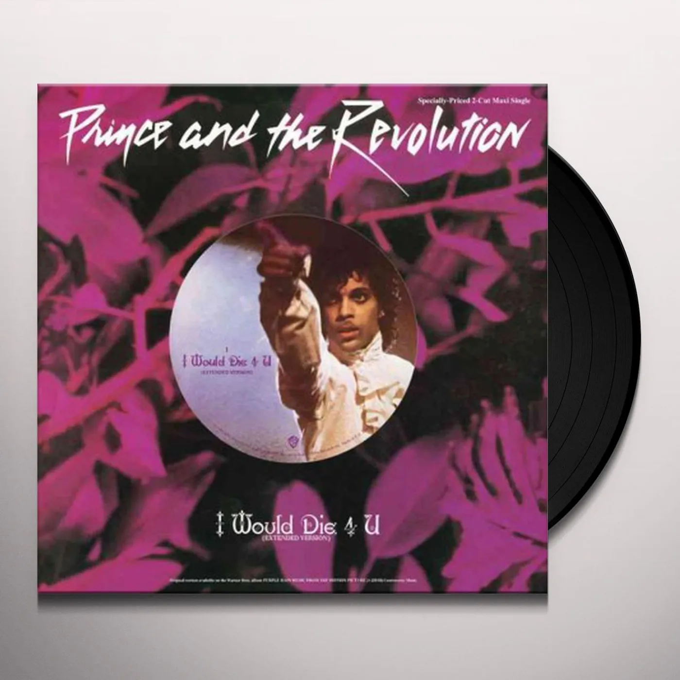 Prince And The Revolution