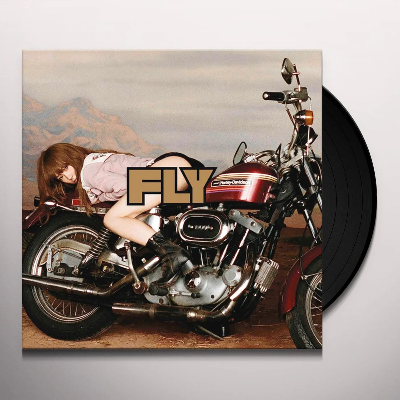 JUDY AND MARY Store: Official Merch & Vinyl