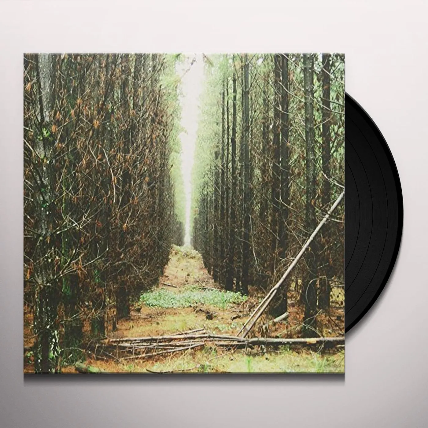 Apart From This In Gloom Vinyl Record