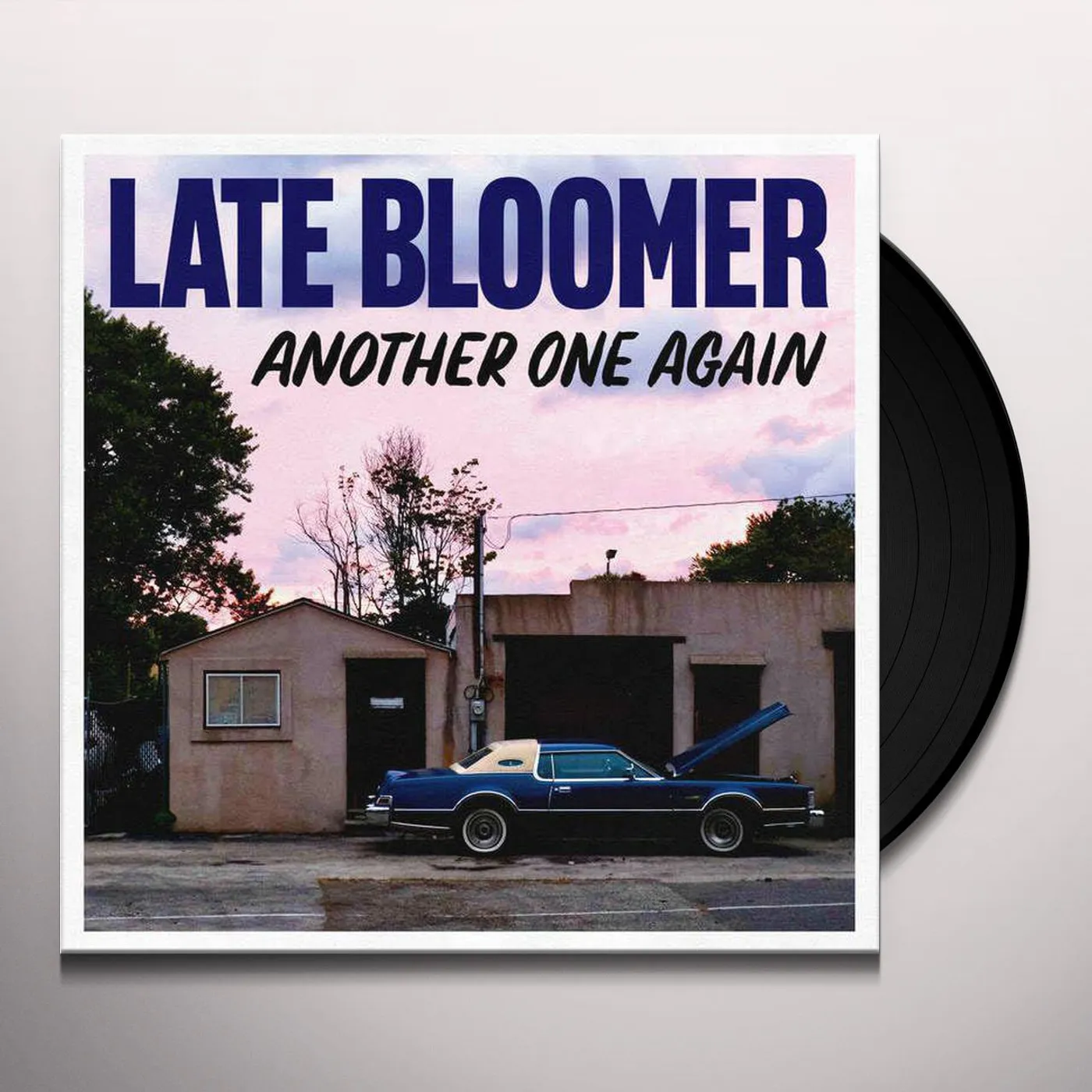 Late Bloomer Another One Again Vinyl Record