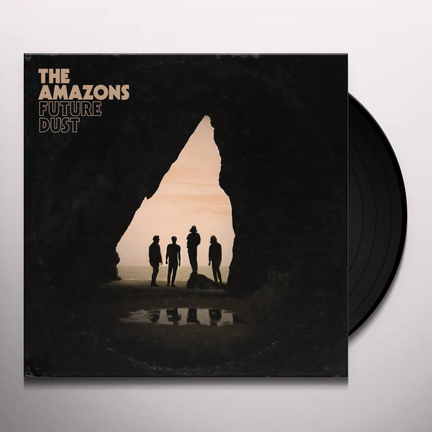 The Amazons FUTURE DUST Vinyl Record