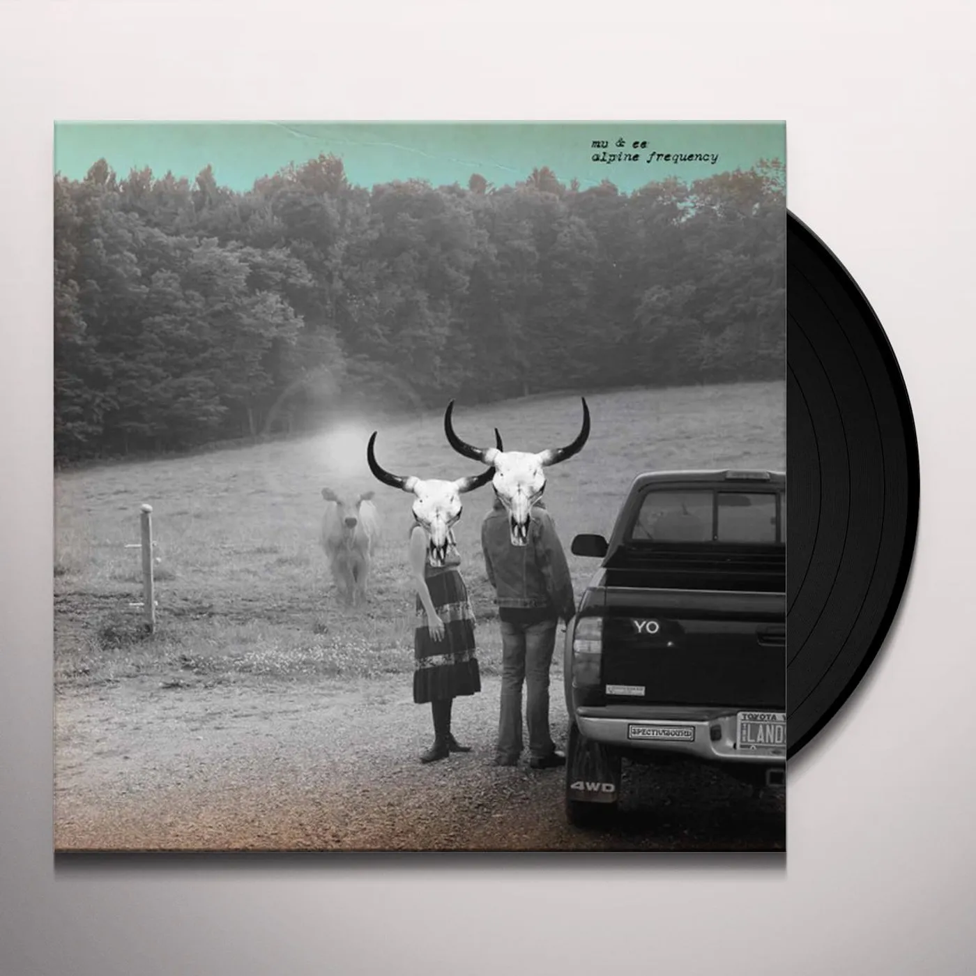 MV & EE ALPINE FREQUENCY (2LP) Vinyl Record