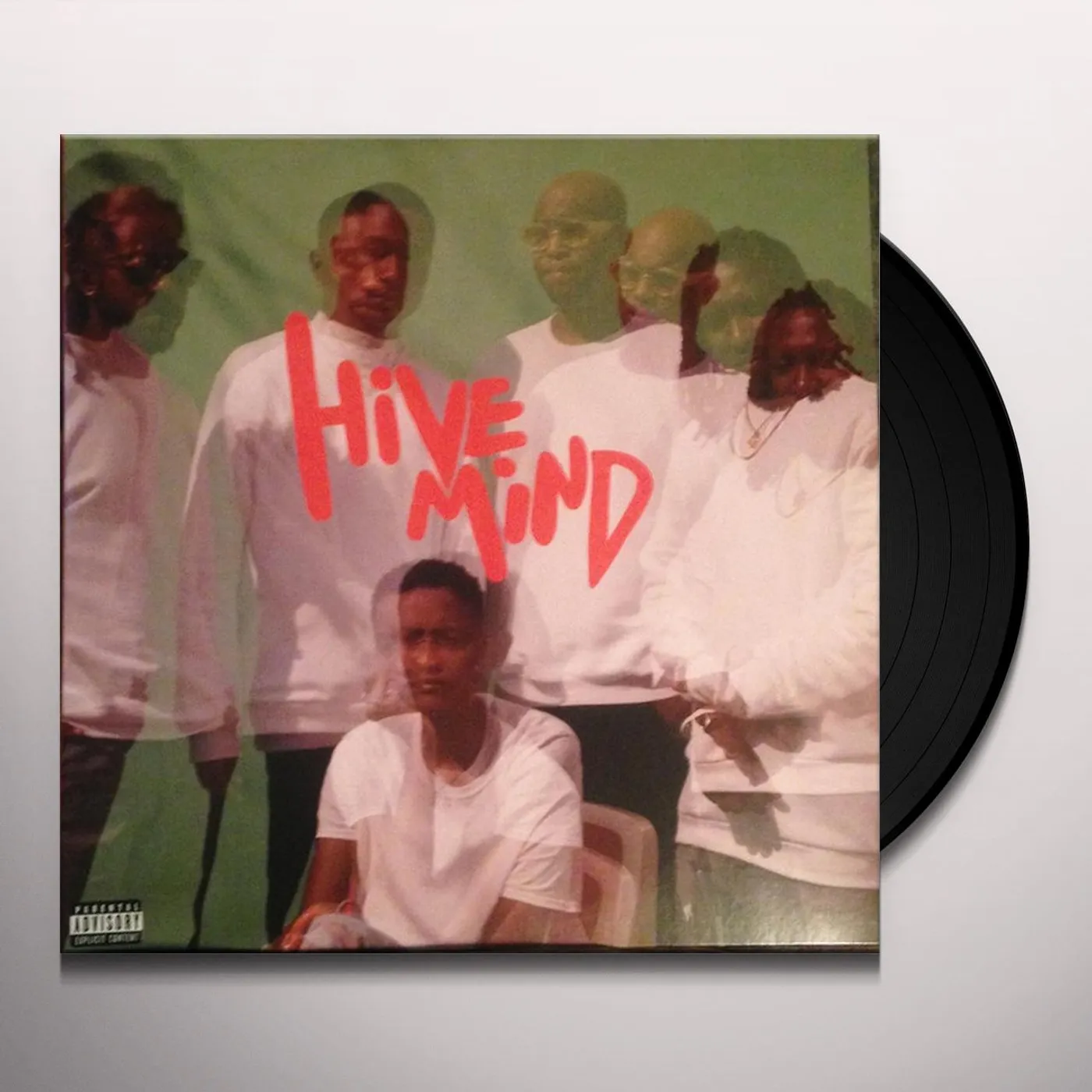 The Internet Hive Mind Vinyl Record