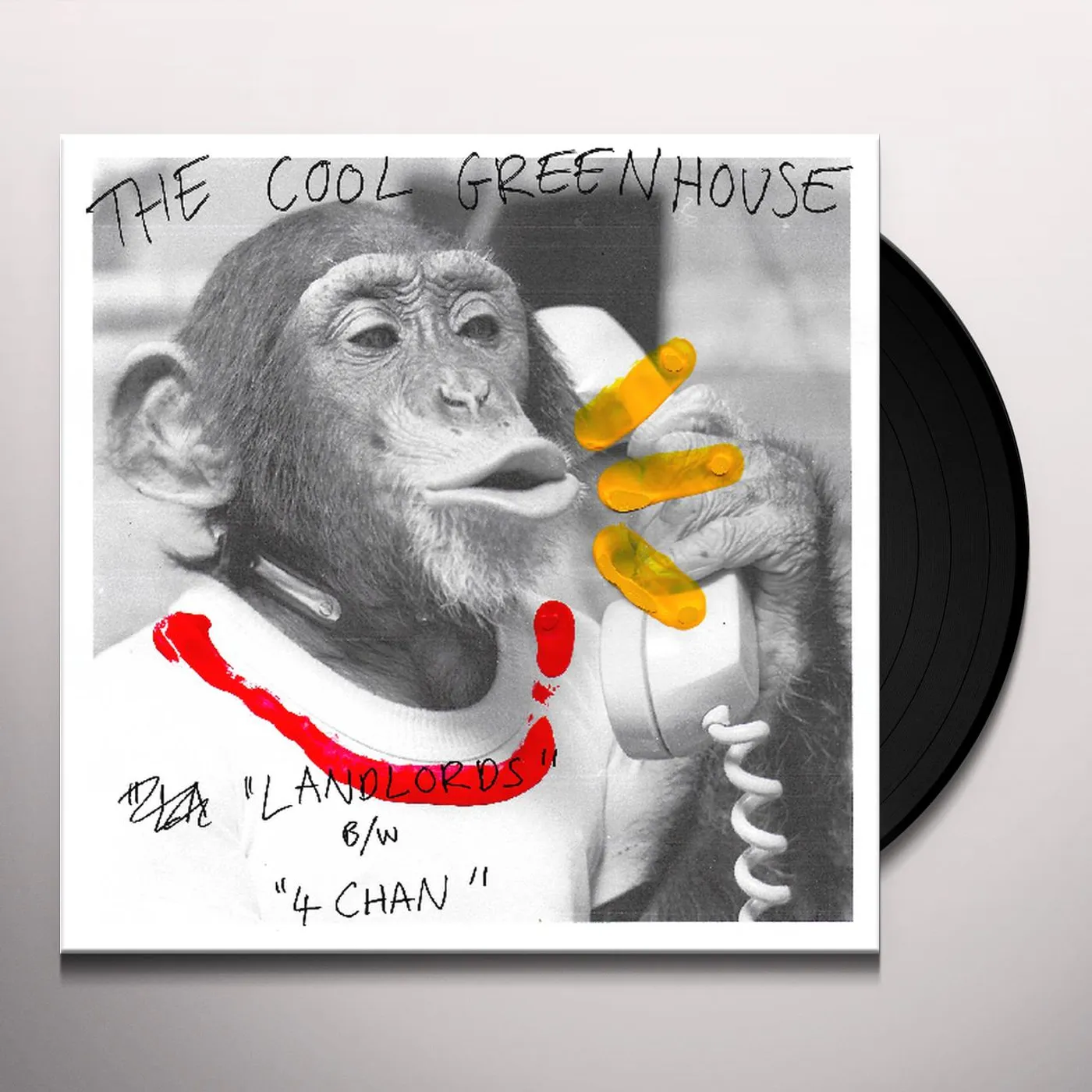 The Cool Greenhouse Landlords / 4Chan Vinyl Record