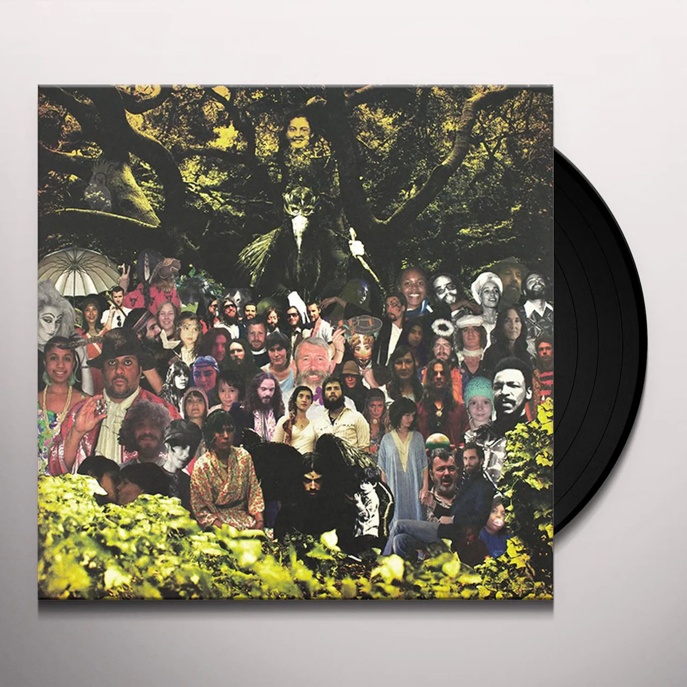 Devendra Banhart Cripple Crow Vinyl Record