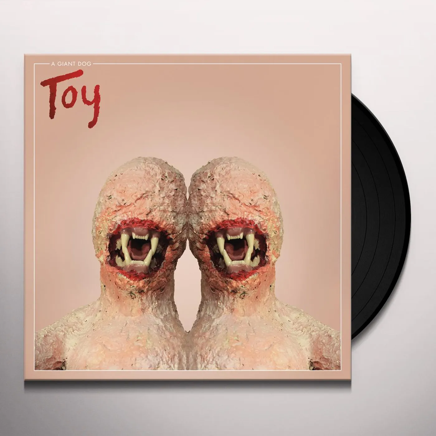 A Giant Dog Toy Vinyl Record