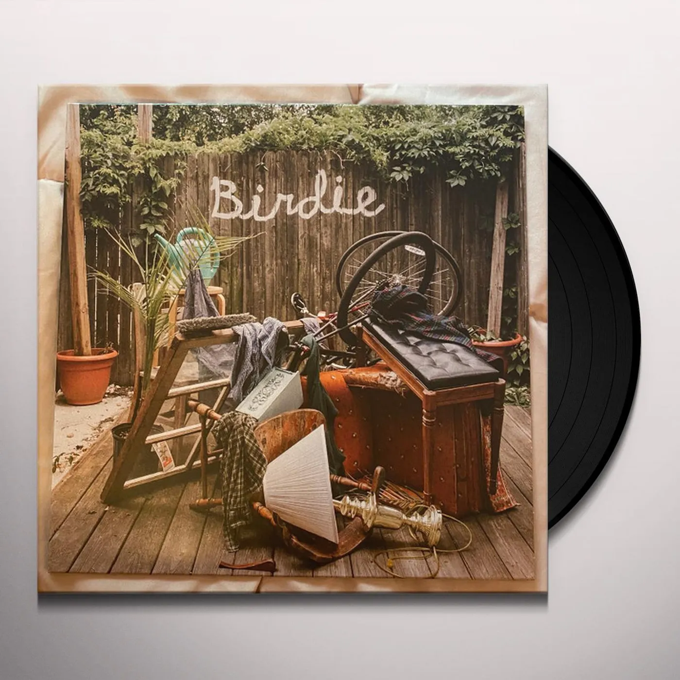 Slaughter Beach, Dog Birdie Vinyl Record