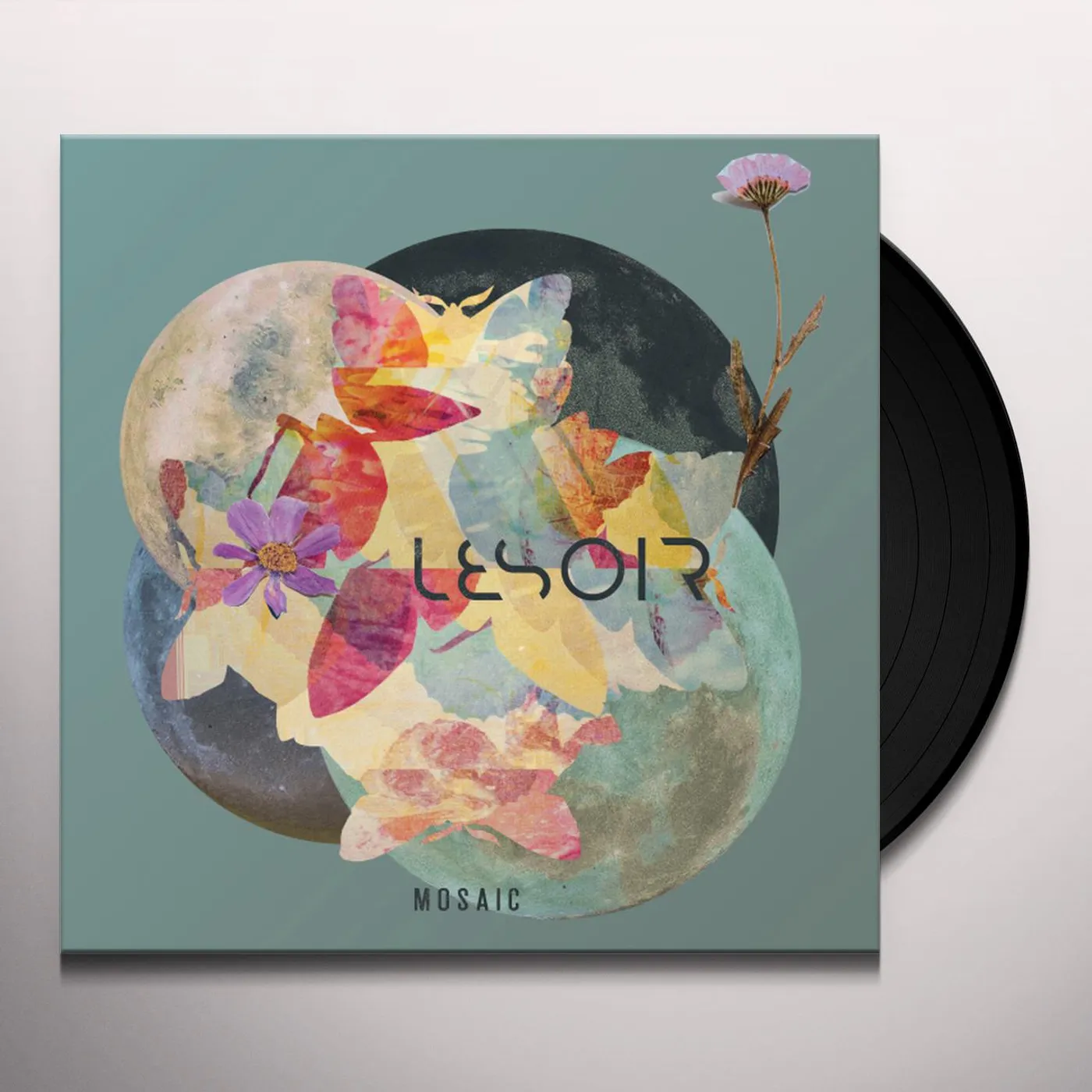 Lesoir Mosaic Vinyl Record
