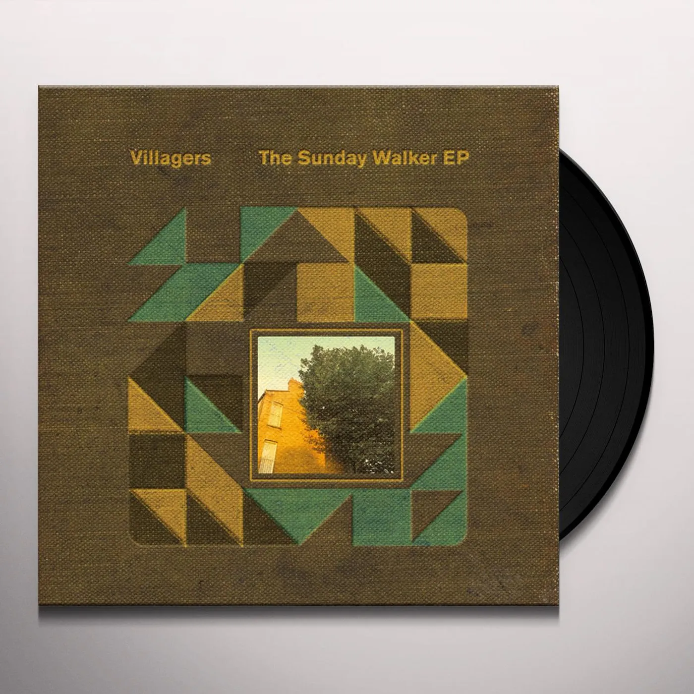 Villagers SUNDAY WALKER Vinyl Record