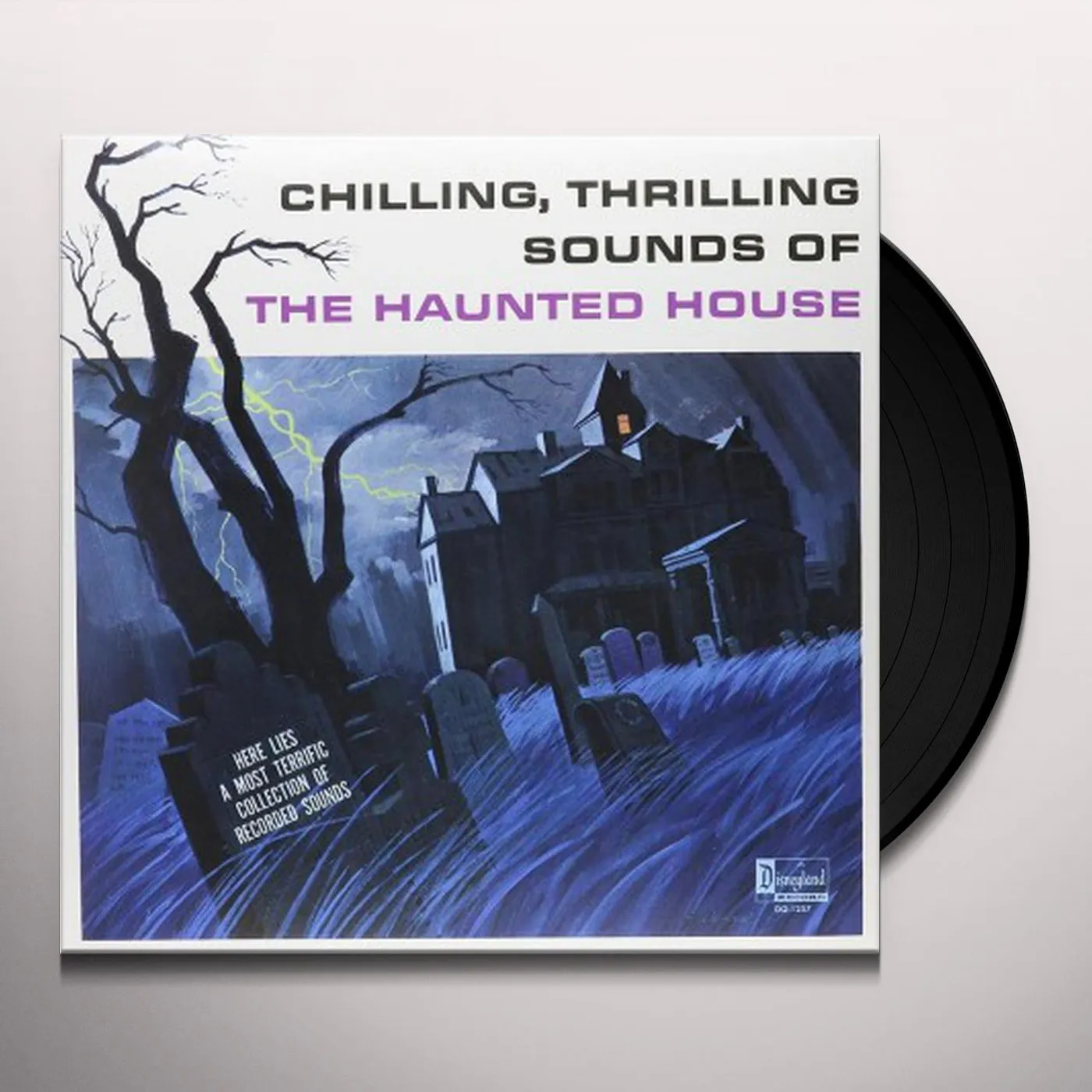 CHILLING THRILLING SOUNDS OF HAUNTED HOUSE / VAR