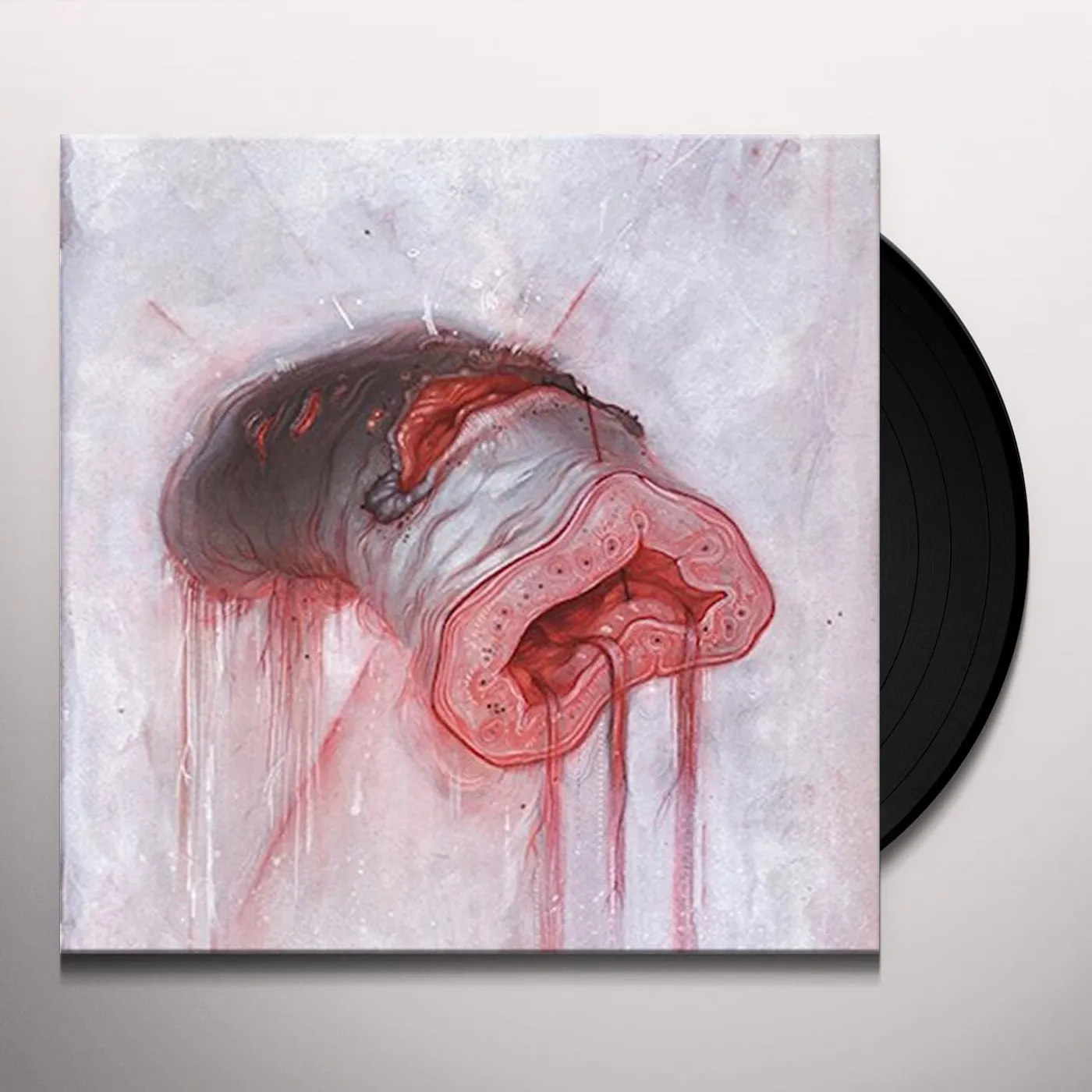 American Heritage Prolapse Vinyl Record