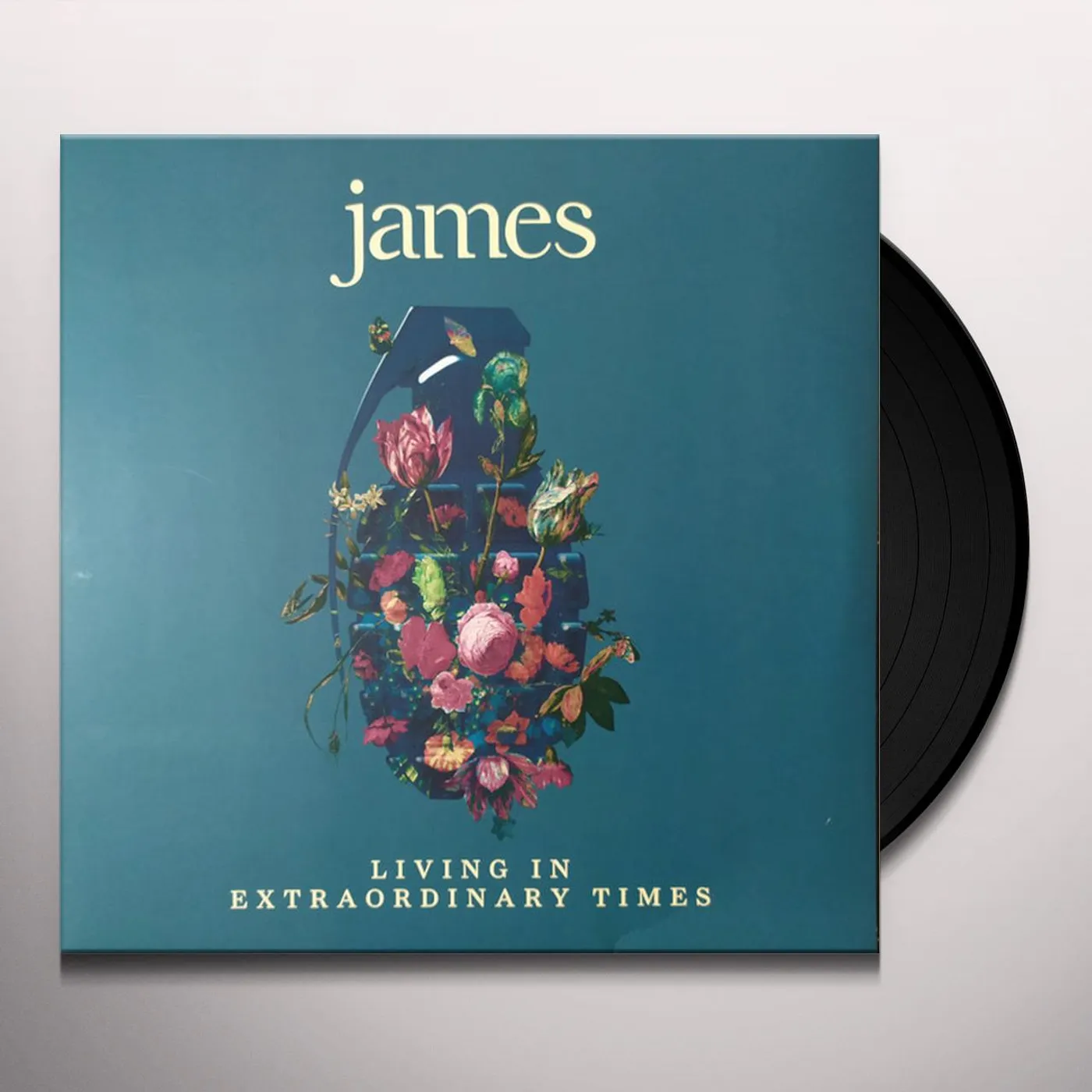 James LIVING IN EXTRAORDINARY TIMES (2LP) Vinyl Record