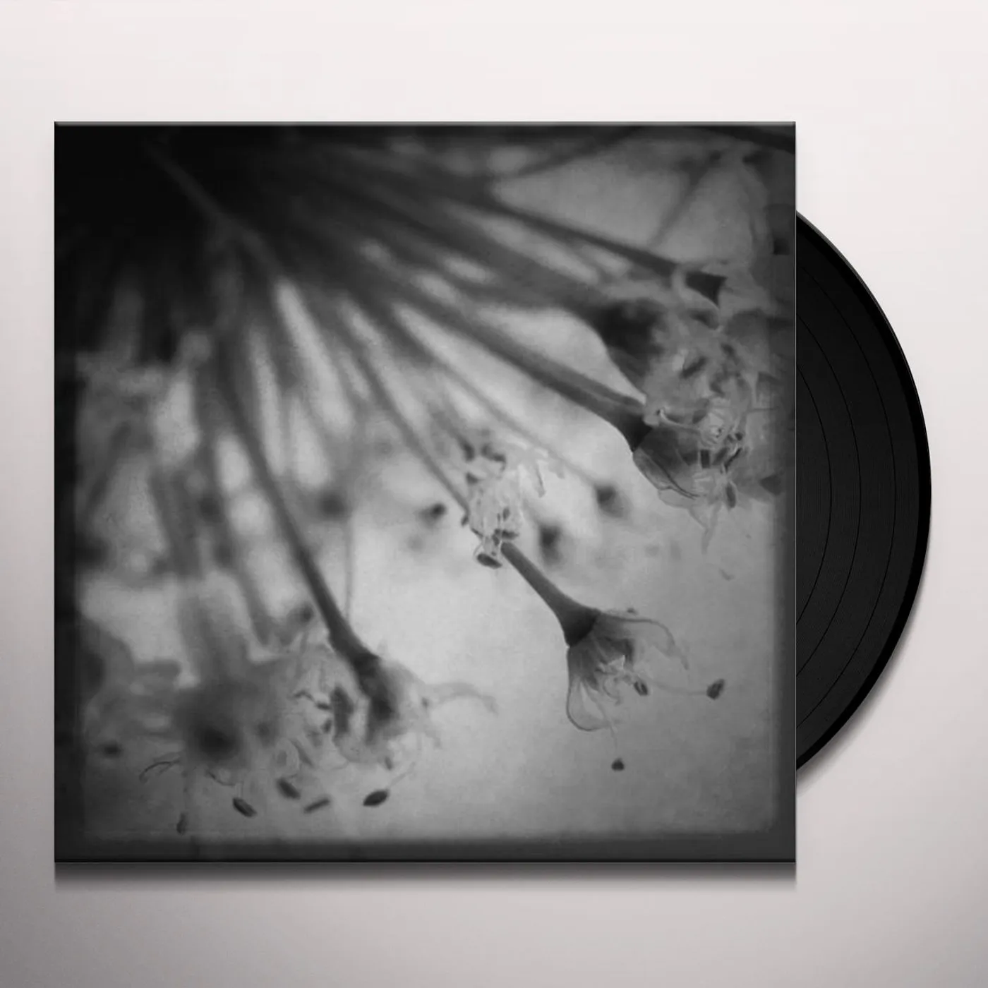 Field Rotation Acoustic Tales Vinyl Record