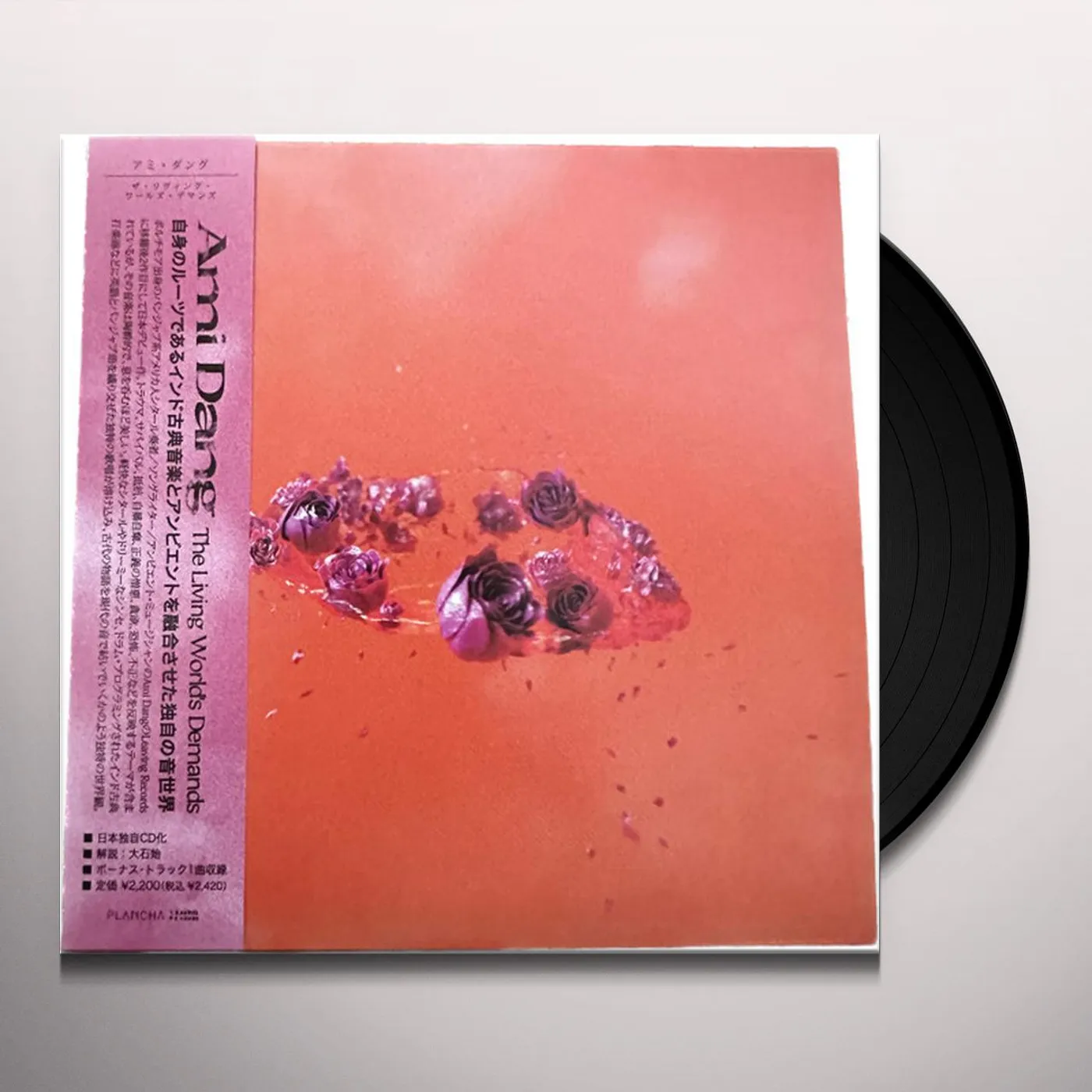 Ami Dang Living World's Demands Vinyl Record