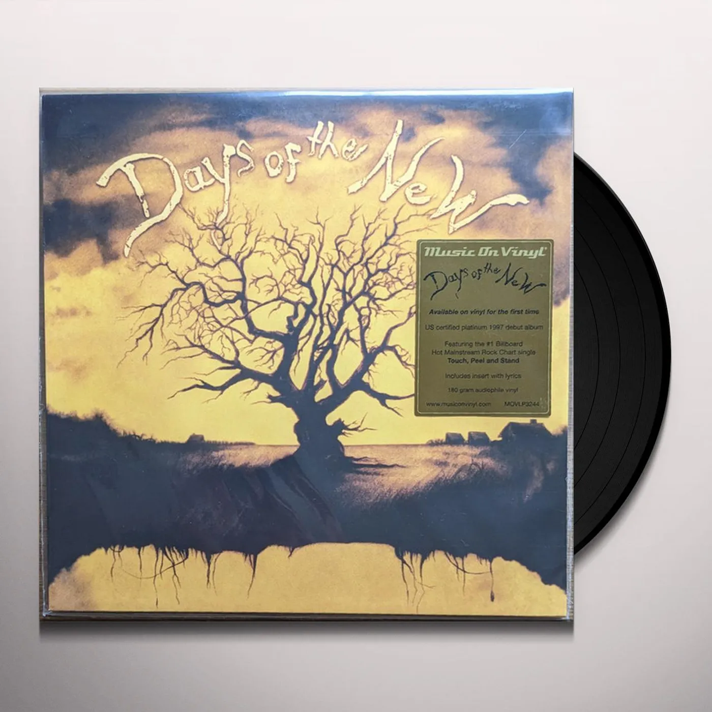 DAYS OF THE NEW (180G/2LP) Vinyl Record