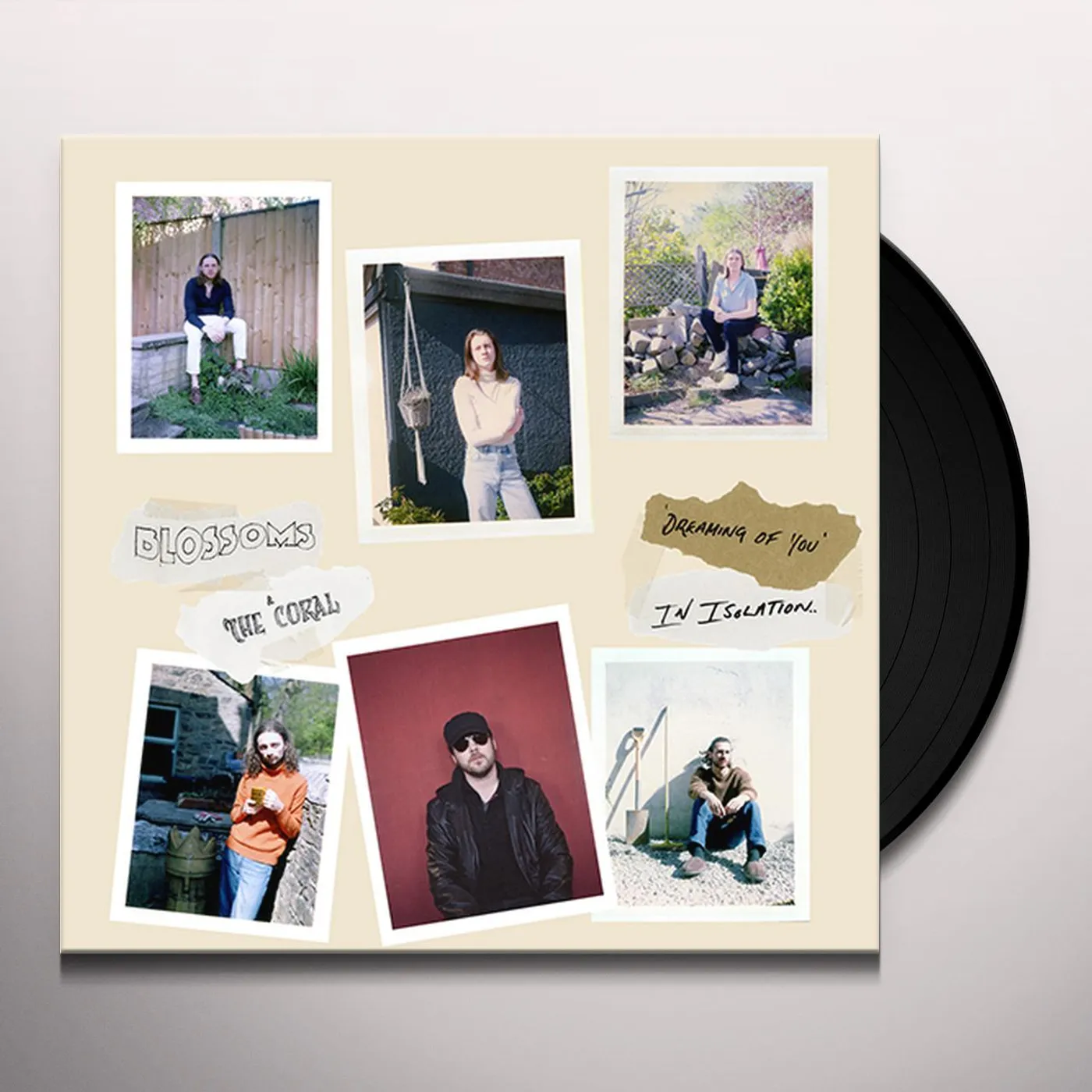 Blossoms IN THE PLAZA THEATRE/STOCKPORT (2LP/OPAQUE BLUE VINYL/180G/IMPORT) Vinyl Record