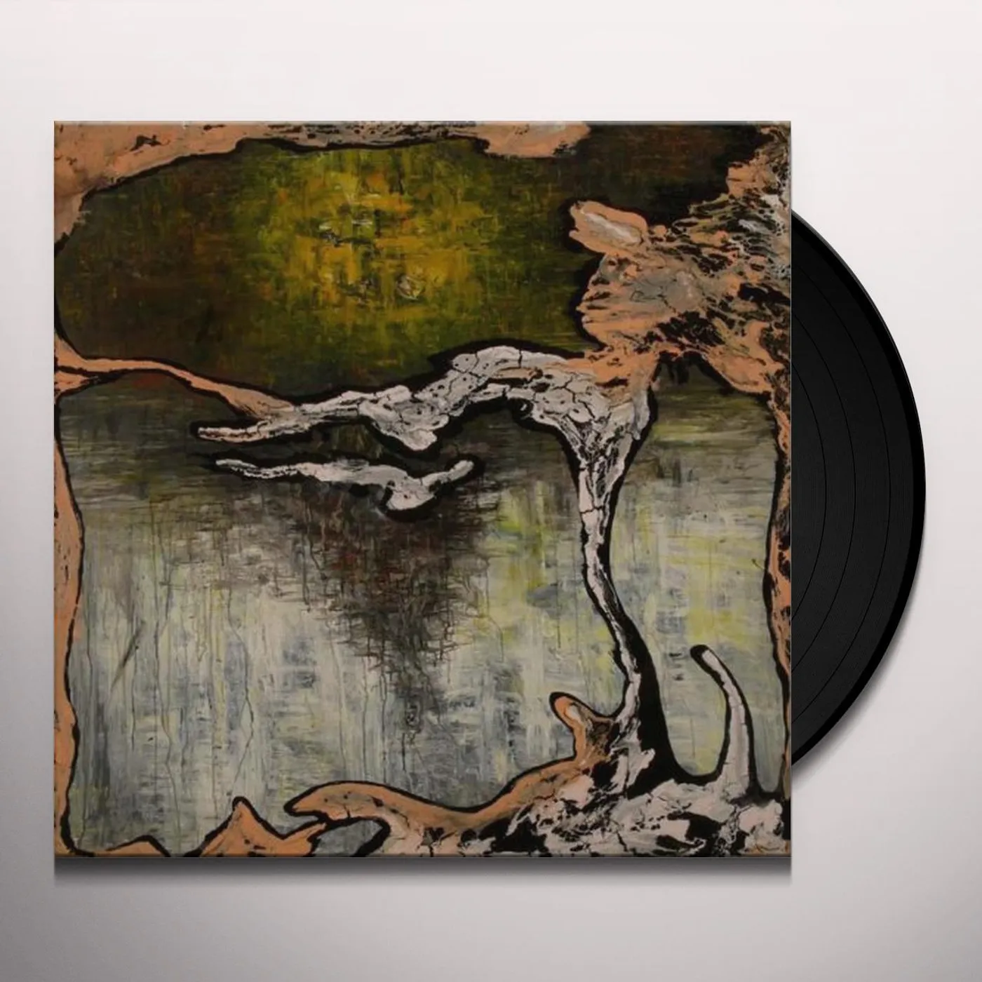 Julian Lynch Terra Vinyl Record