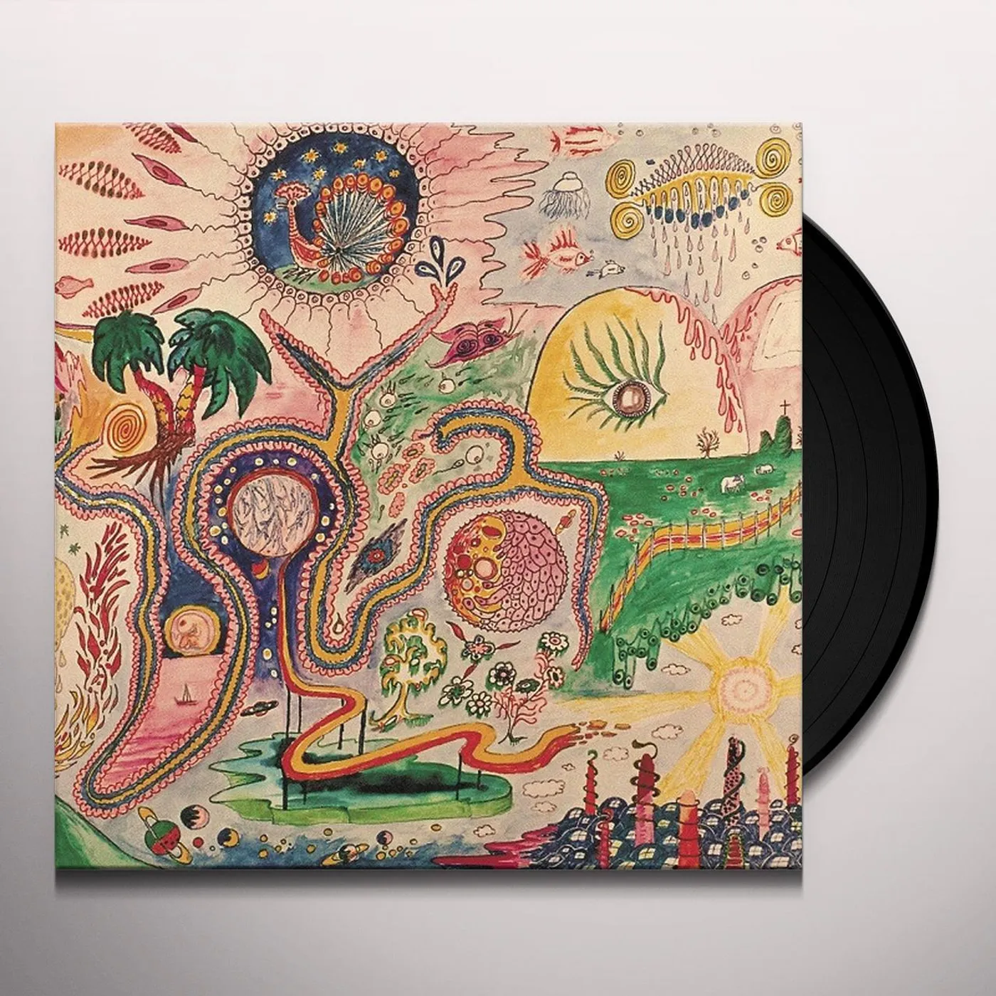 Youth Lagoon Wondrous Bughouse Vinyl Record