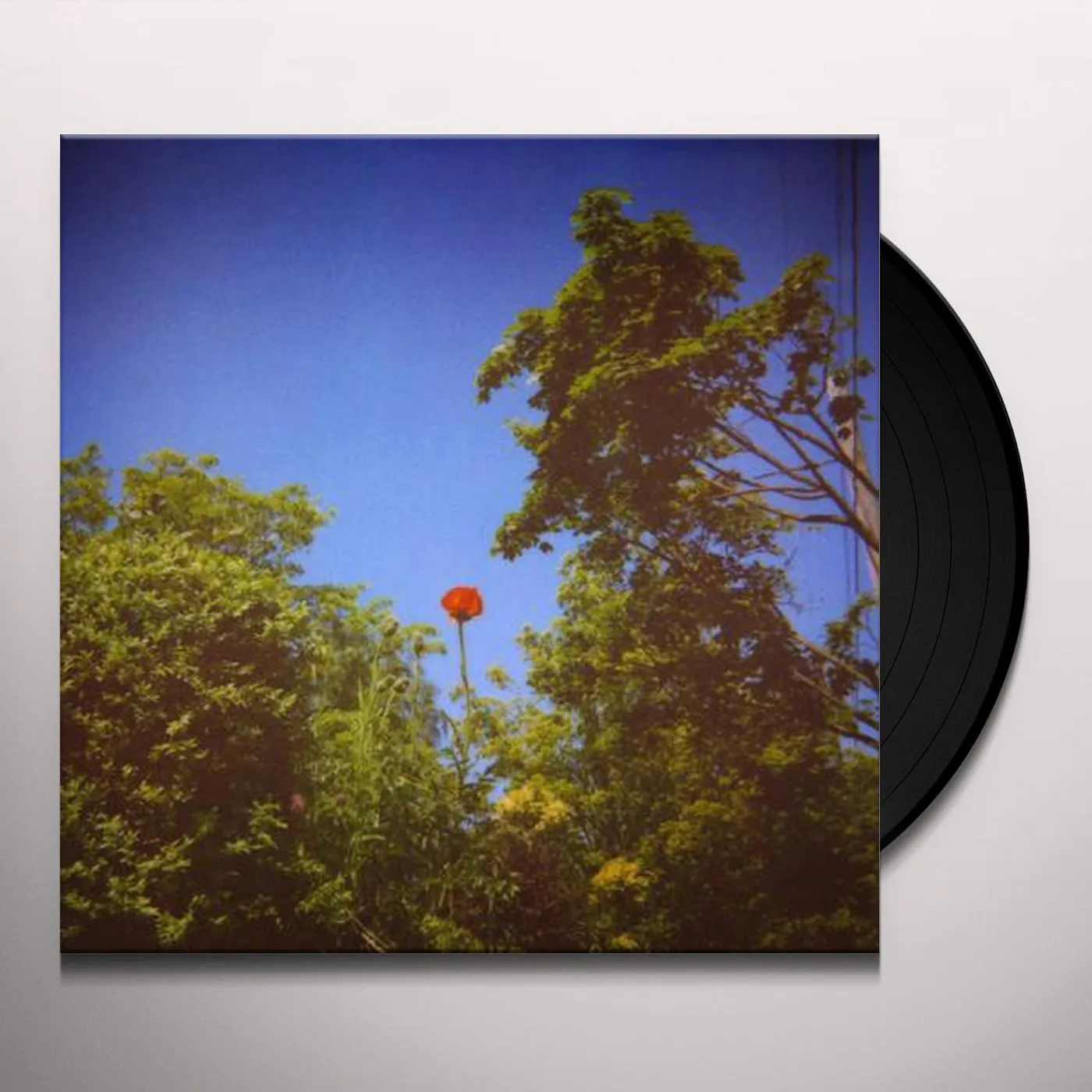 Benoît Pioulard 59961 Sonnet Vinyl Record