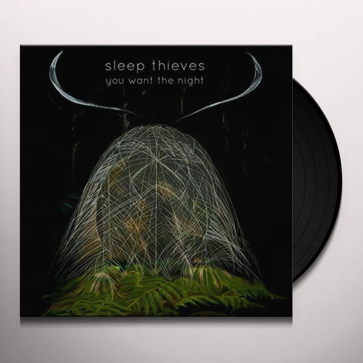 Sleep Thieves You Want the Night Vinyl Record