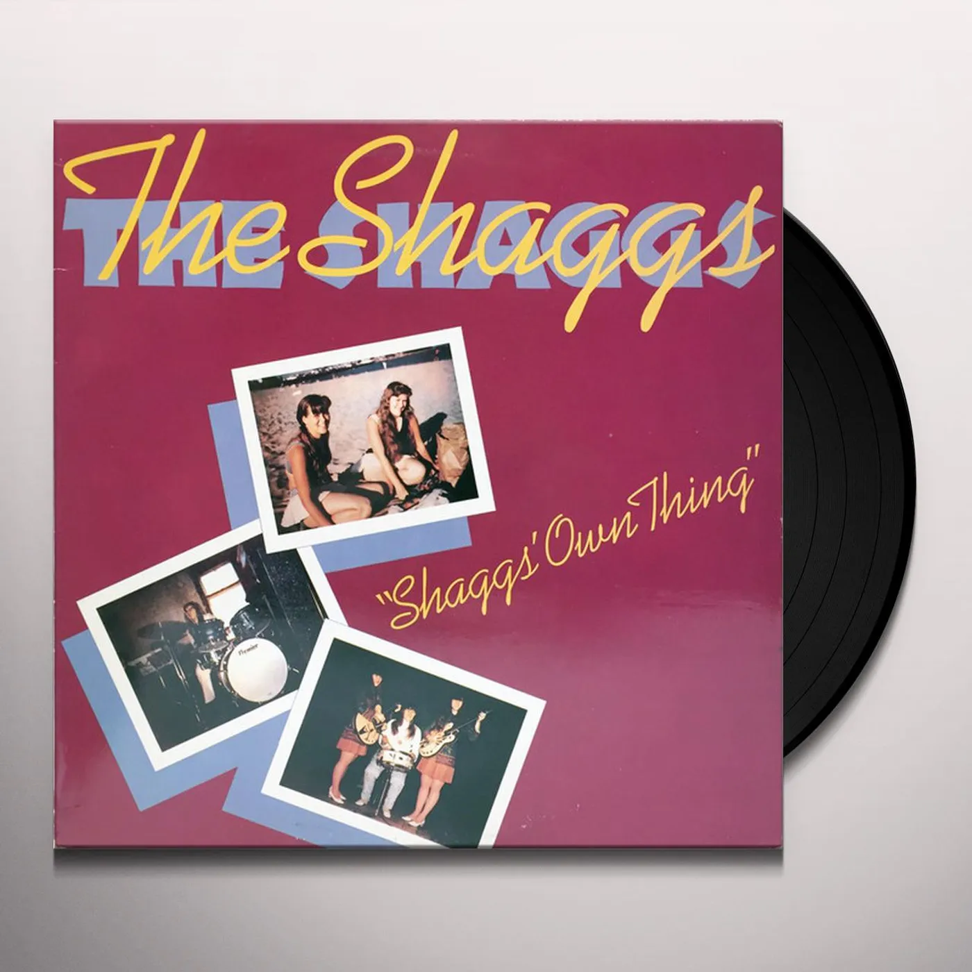 The Shaggs' Own Thing Vinyl Record